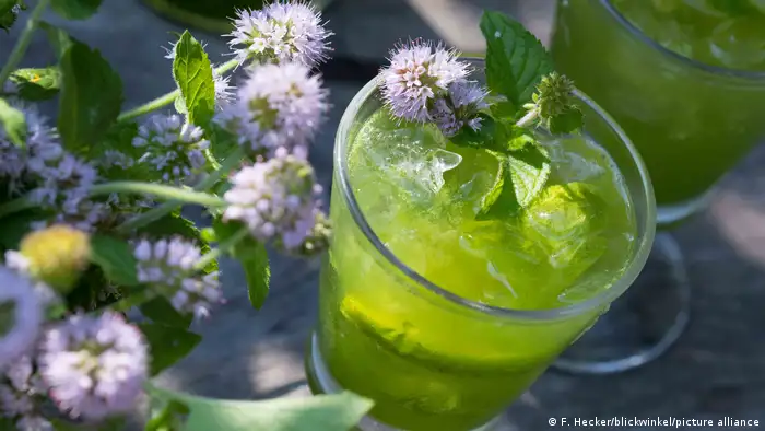 A glass of lemonade with mint leaves floating in it