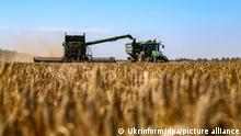 Ein Mähdrescher erntet Getreide auf einem Feld in der Region Odessa im Süden der Ukraine. Millionen Tonnen Getreide werden in der Ukraine seit Wochen von Russland blockiert, in Afrika drohen Hungersnöte. Verhandlungen zur Öffnung des Schwarzen Meeres scheinen Fortschritte zu machen. UN-Chef Guterres ist bereit für einen Gipfel in der Türkei. +++ dpa-Bildfunk +++