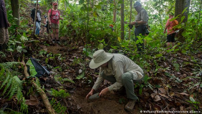 Turistas participando en el cuidado y reforestación de una selva tropical.