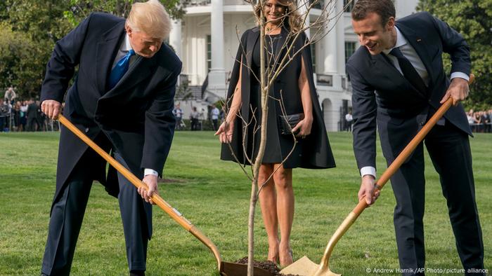 Donald Trump and Emmanuel Macron plant a tree