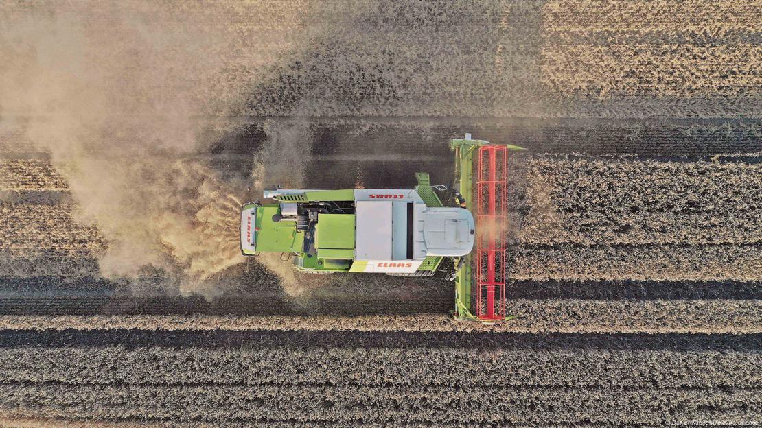 Ein Mähdrescher erntet ein Getreidefeld ab, senkrecht von oben fotografiert