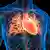 Ilustración del corazón y el sistema circulatorio