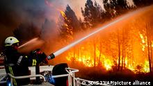दक्षिणी यूरोप के जंगलों में भयानक आग