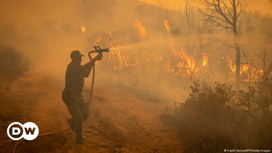 Maroc. Les efforts de lutte contre les incendies de forêt dans le nord se poursuivent |  changement climatique |  DW