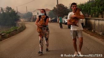 Португальці рятуються від лісових пожеж
