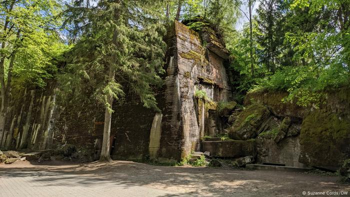 Bunker remains in the forest at Wolf's Lair