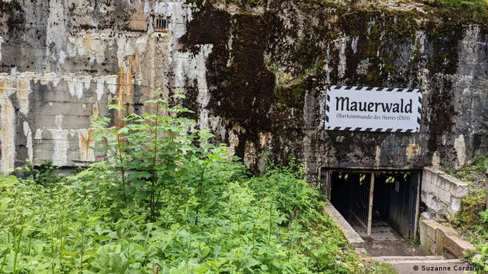 Bunker, trees and shrubs in the foreground, with a sign that reads Mauerwald