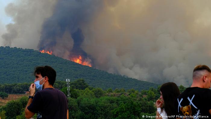 Hitzewelle Europa 2022 | Waldbrände in Malaga, Spanien