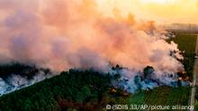 This photo provided by the fire brigade of the Gironde region (SDIS 33) shows a wildfire near Landiras, southwestern France, Saturday July 16, 2022. Firefighters are struggling to contain wildfires in France and Spain as Europe wilts under an unusually extreme heat wave that authorities link to a rise in excess mortality. (SDIS 33 via AP)