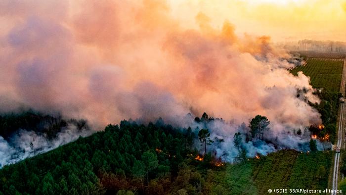 A forest fire in Landiras, France