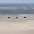 На конях - по широкому песчаному пляжу на острове Шпикерог