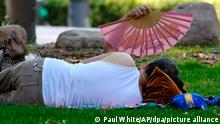 Person lying on grass, seen from behind, a pink fan held over their head