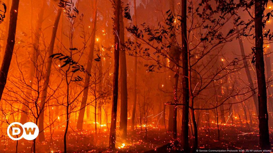 Primeras muertes en incendios en España |  Europa actual |  DW