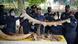 Malaysian customs officials hold up a seized elephant tusk. Other seized animal parts, including skulls and bones, are displayed on a table. Malaysian customs officials hold up a seized elephant tusk. Other seized animal parts, including skulls and bones, are displayed on a table.