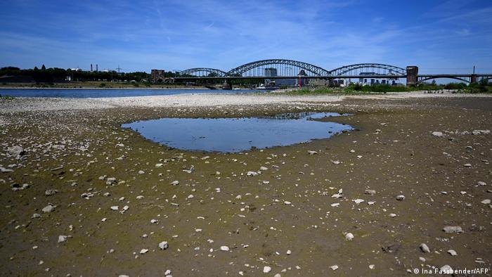 Eine Pfütze am Rheinufer vor einer Brücke - sonst ist hier Wasser, im Moment nur Kies.