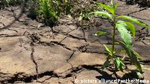 ¿Cómo proteger el suelo ante futuras sequías y olas de calor?