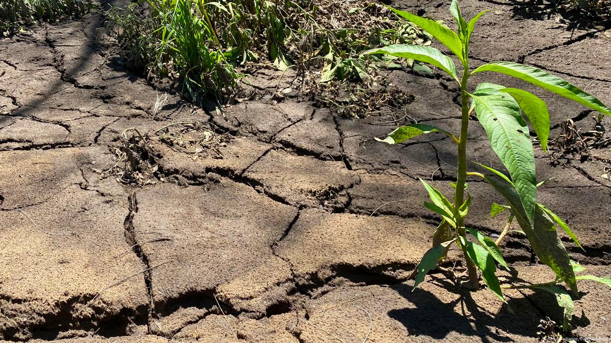 Don't Call It Dirt: The Science Of Soil : Short Wave : NPR