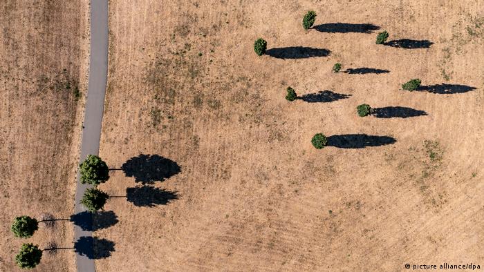 Hitze in Deutschland – Zwenkau