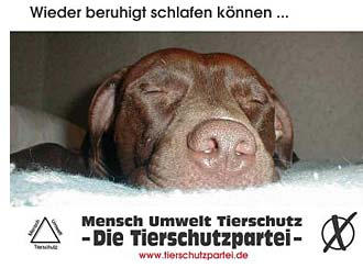 Wahlplakat der Tierschutzpartei (Foto: Tierschutzpartei)
