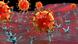Вирус SARS-CoV-2 атакует клетку тела человека (3D-модель) Вирус SARS-CoV-2 атакует клетку тела человека (3D-модель)