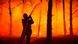 Los masivos incendios forestales de esta temporada aceleraron el proceso de creación de la gendarmería verde. Los masivos incendios forestales de esta temporada aceleraron el proceso de creación de la gendarmería verde.