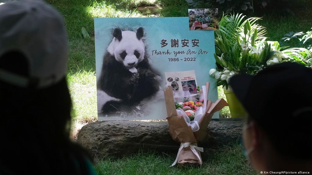 Hong Kong: Oldest male giant panda in 