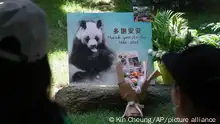 تدهورت صحته منذ وفاة شريكته.. إنهاء حياة الباندا الأكبر سنا في العالم