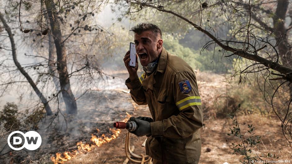 Waldbrände in Griechenland: Zuviel Polizei, zu wenig Feuerwehr