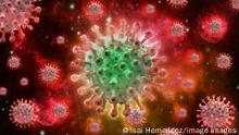 Affenpocken-Virus, Affenpocken-Virus Hintergrund. Monkeypox Mutation auf medizinischen Hintergrund. Monkeypox-Virus-Moleküle auf rotem Hintergrund *** monkey pox Virus, monkey pox Virus Background monkey pox Mutation at medical Background monkey pox Virus Molecules at red Background Copyright: imageBROKER/IsaixHernandez ibxiih08340070.jpg Bitte beachten Sie die gesetzlichen Bestimmungen des deutschen Urheberrechtes hinsichtlich der Namensnennung des Fotografen im direkten Umfeld der Veröffentlichung!