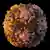 पोलियो वायरस का 3डी नमूना