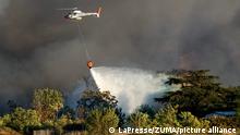 July 9, 2022, Roma, Italia: Fire in the Centocelle park (Credit Image: © LaPresse via ZUMA Press