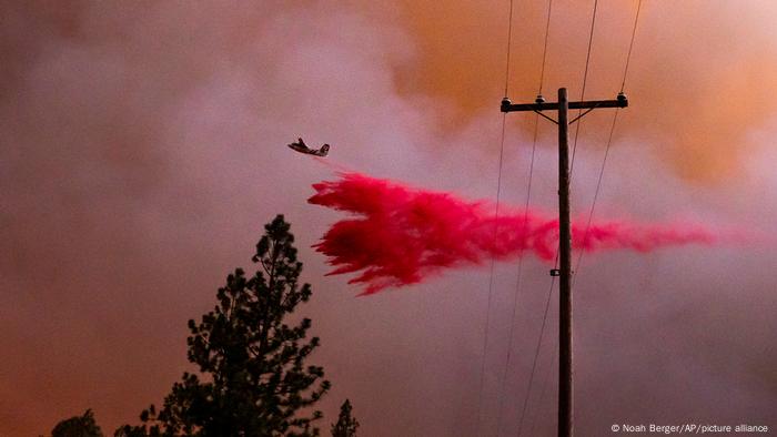 California Wildfires I Mariposa County