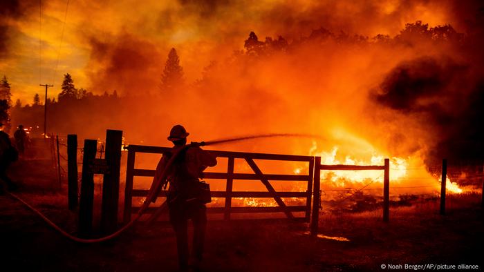 California Wildfires I Mariposa County