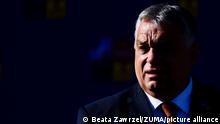 Ungarns Votum für Finnland: Orban in der Sackgasse