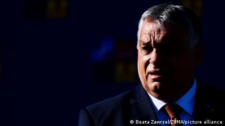 Една от най близките съветнички на унгарския премиер Виктор Орбан подаде