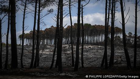 Frankreich | Schäden durch Waldbrände in Pyla sur Mer