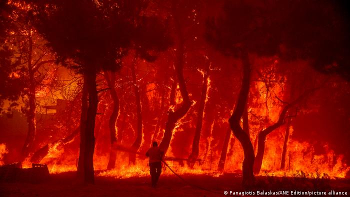 Griechenland | Waldbrand auf Lesbos