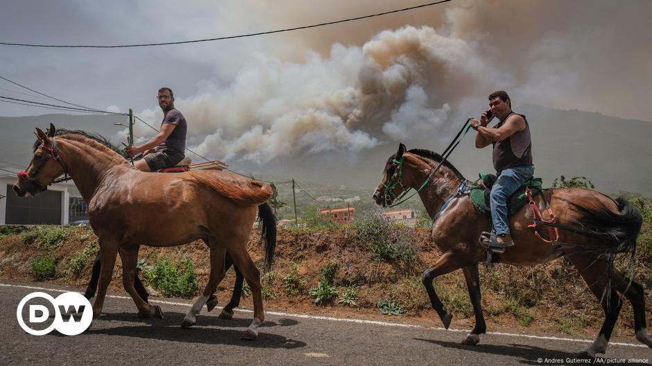 Cientos de personas evacuadas en Grecia y España en medio de prolongados incendios forestales | Noticias | Deutsche Welle