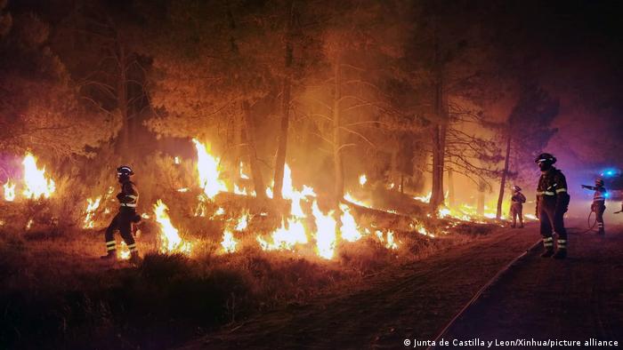 Spanien Cerberos | Waldbrände 
