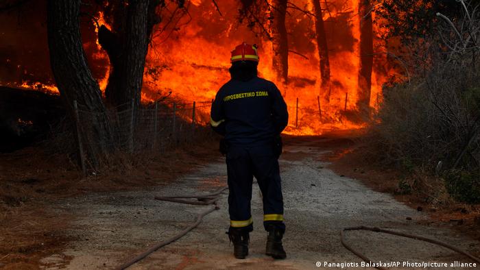 grecia |  Waldbrande bei Vatera