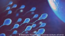 Sperm and egg cell on microscope. Scientific background. 3d illustration