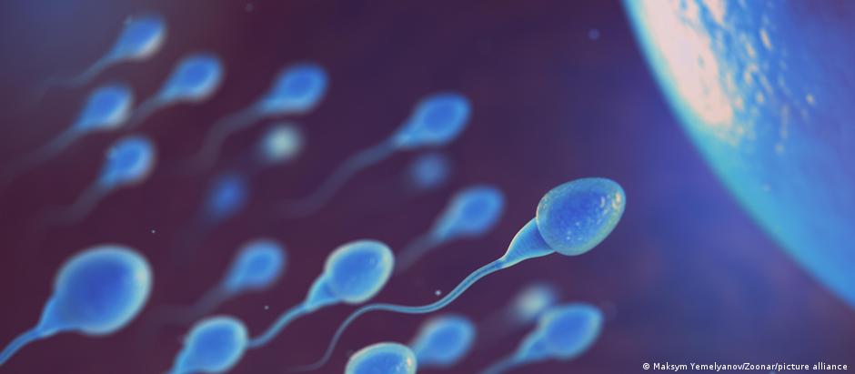 Cerca de 17,8% dos adultos em países de alta renda tiveram infertilidade, enquanto 16,5% em países de baixa e média renda foram afetados