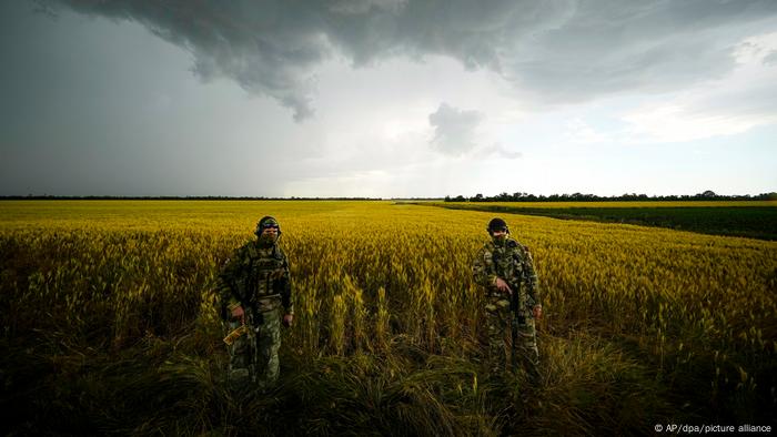 Soldados rusos frente a un campo de trigo ucraniano.
