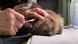Workers from the rescue center Netzwerk Igel, in Wuppertal, Germany, treat an injured hedgehog Workers from the rescue center Netzwerk Igel, in Wuppertal, Germany, treat an injured hedgehog