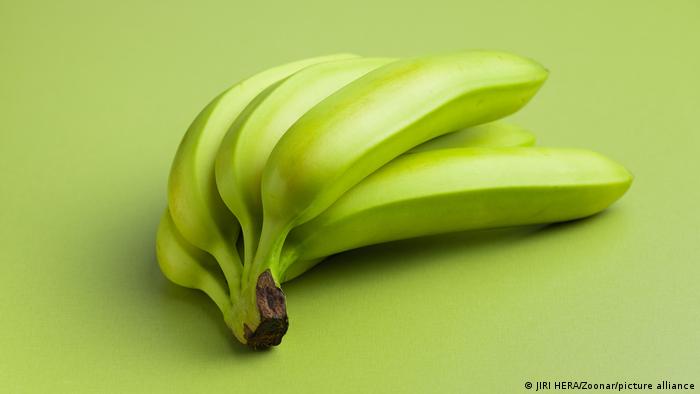 Unreife Bananen