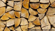 Gestapeltes Feuerholz. Stack of firewood.