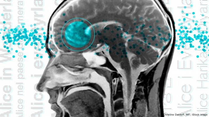 En un estudio de imágenes cerebrales, los neurocientíficos encontraron patrones similares de activación cerebral en áreas del lenguaje como el área de Broca.