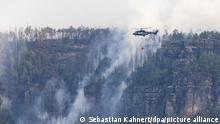 Лесные пожары в Саксонии не утихают вторую неделю