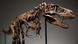 Gorgosaurus de colección privada subastado por Sotheby´s, en Nueva York. Gorgosaurus de colección privada subastado por Sotheby´s, en Nueva York.