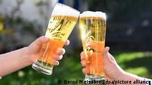 Mit Bier gefüllte Gläser stoßen zwei Personen an. Das Statistische Bundesamt veröffentlicht am 30-07-2021 Zahlen zum Bierabsatz im ersten Halbjahr 2021. +++ dpa-Bildfunk +++